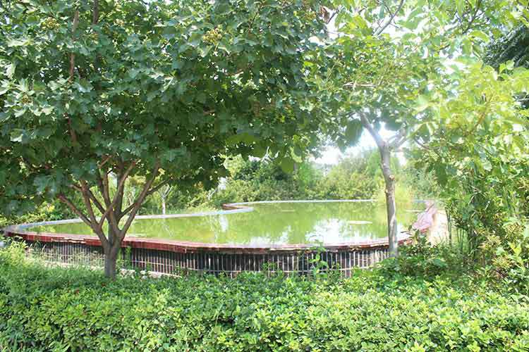 恒峰g22网页版登录-恒峰(中国)机械厂区环境优美